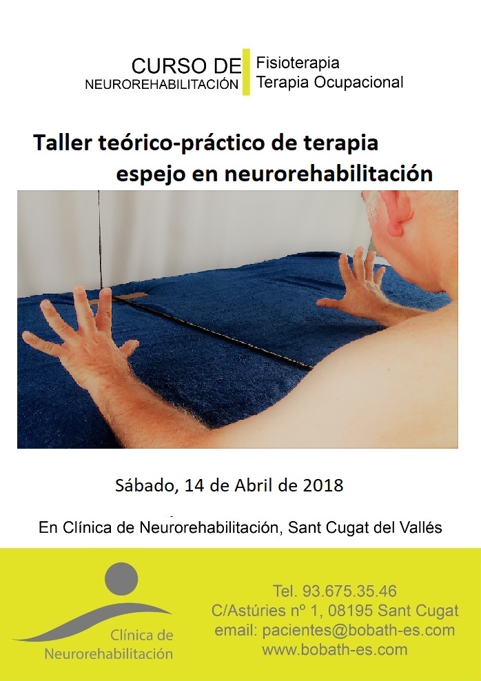 Taller de terapia espejo para fisioterapeutas y terapeutas ocupacionales